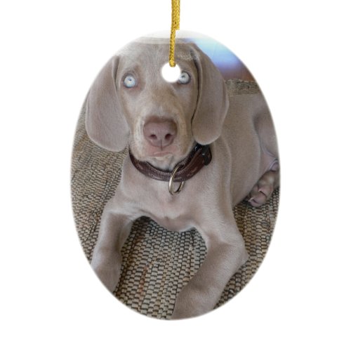 Weimaraner Puppy Ornament