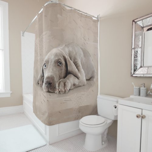 Weimaraner puppy shower curtain