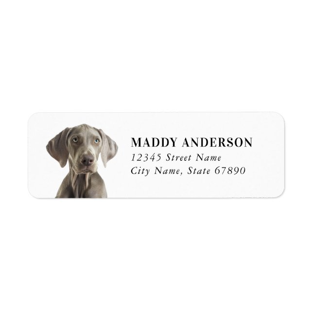 Weimaraner Return Address Labels (Front)
