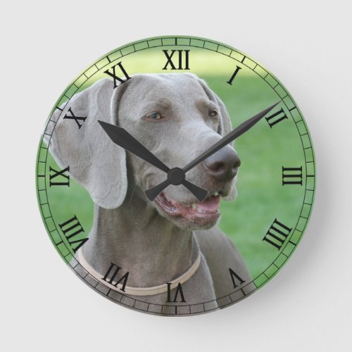 Weimaraner Round Clock