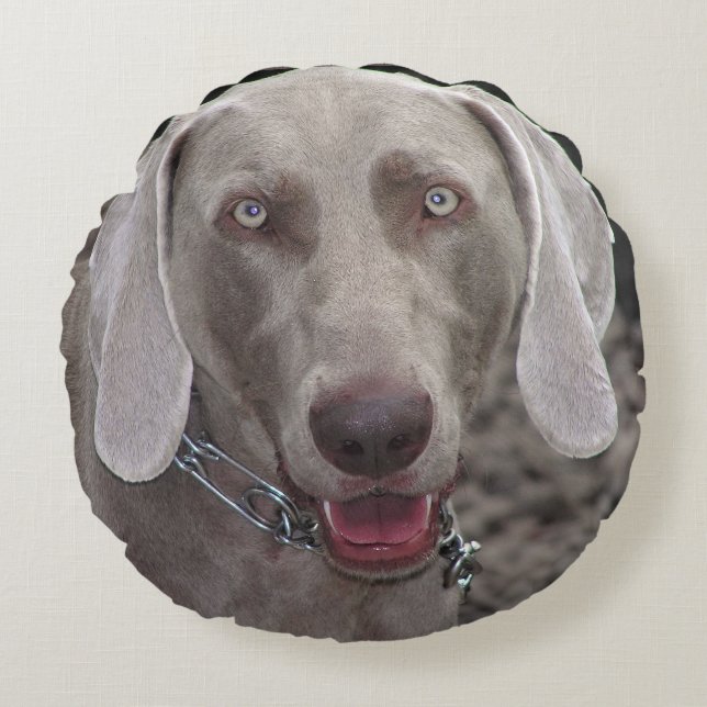 Weimaraner Round Pillow (Front)