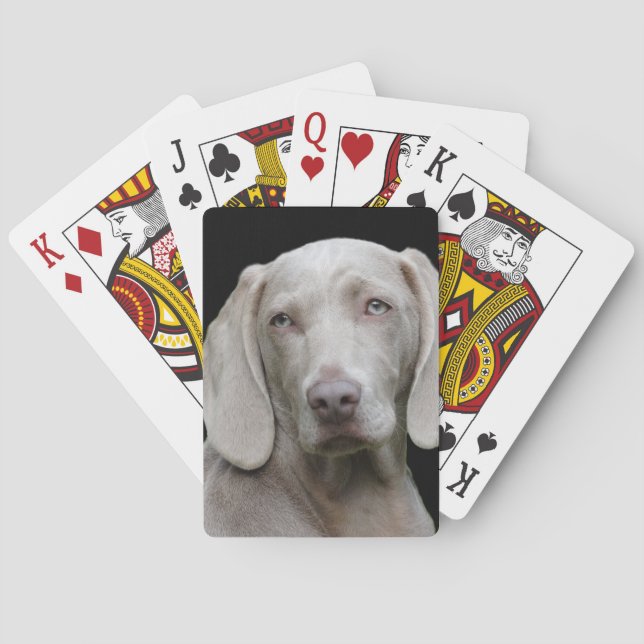 Weimaraner Silver Gray Poker Cards (Back)