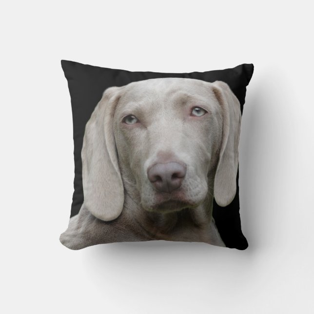 Weimaraner Silver Grey Throw Pillow (Front)