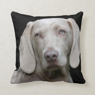Weimaraner Silver Grey Throw Pillow