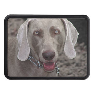 Weimaraner Trailer Hitch Cover
