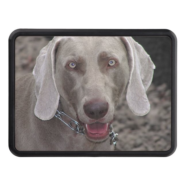 Weimaraner Trailer Hitch Cover (Front)