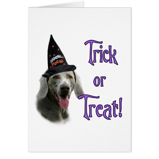 Weimaraner Trick Cards (Front)