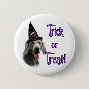 Weimaraner Trick Pinback Button