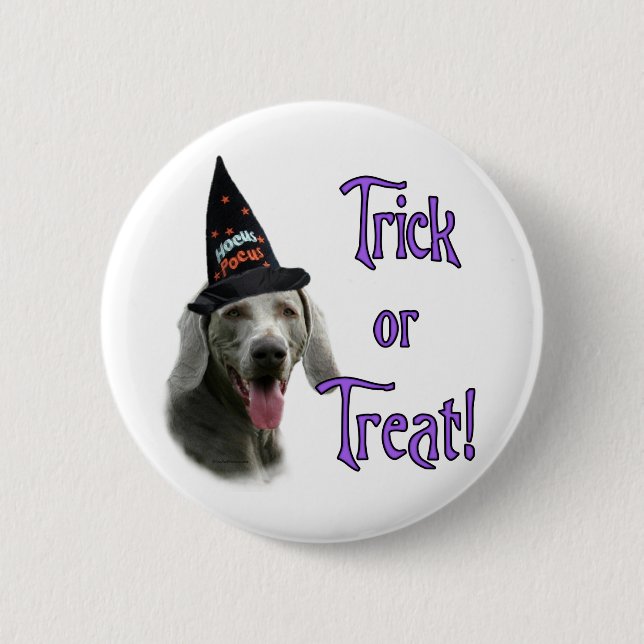 Weimaraner Trick Pinback Button (Front)