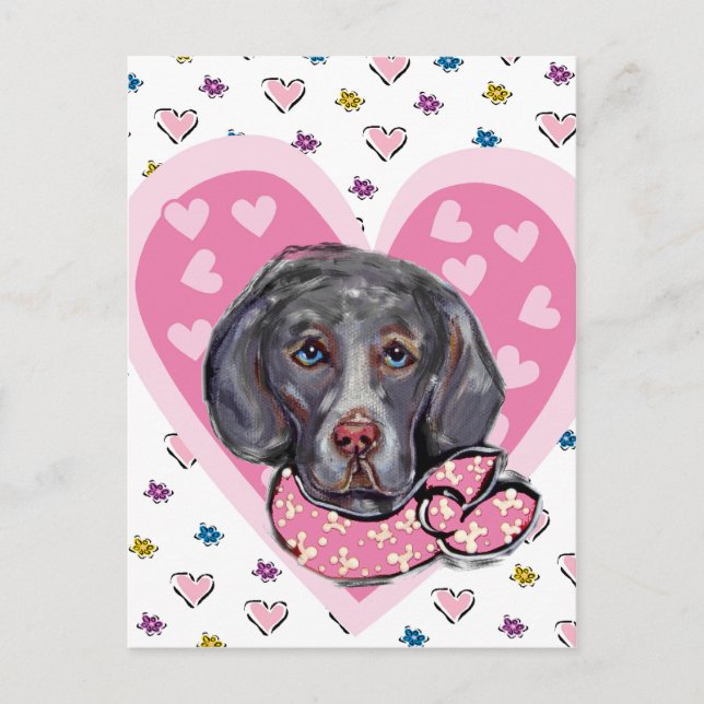 Weimaraner Valentine Holiday Postcard (Front)