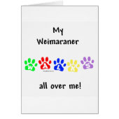 Weimaraner Walks (Front)