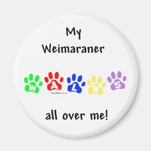 Weimaraner Walks - Magnet
