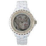 Weimaraner Watch