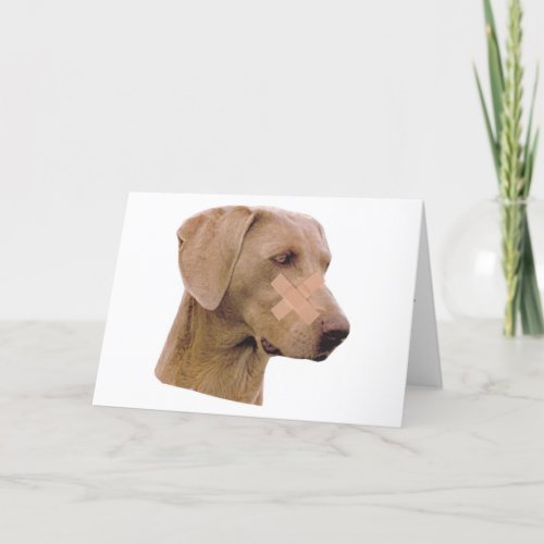 Weimaraner With Band_Aid Thank You Card