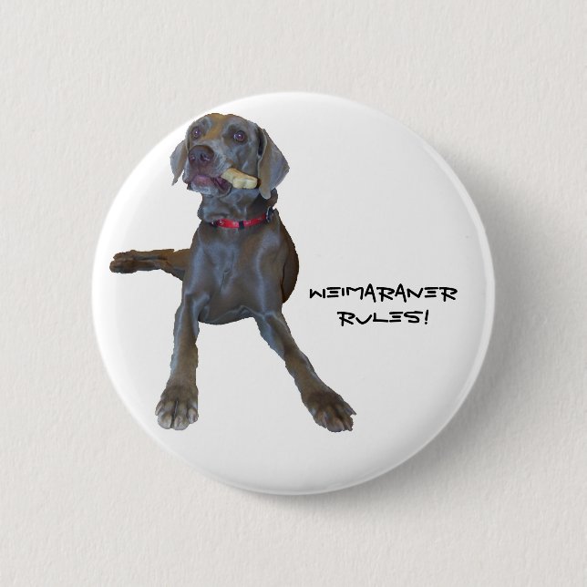 Weimaraners Rule! Pinback Button (Front)