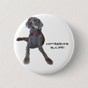 Weimaraners Rule! Pinback Button