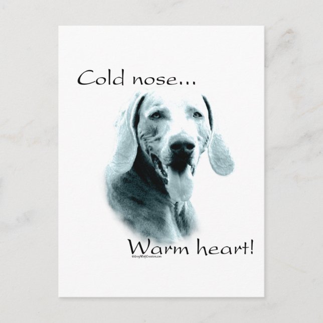 Weimeraner Cold Nose Warm Heart Postcard (Front)