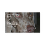 Weimeraner Dog Business Card
