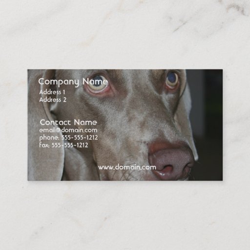 Customizable Weimeraner Dog Business Card