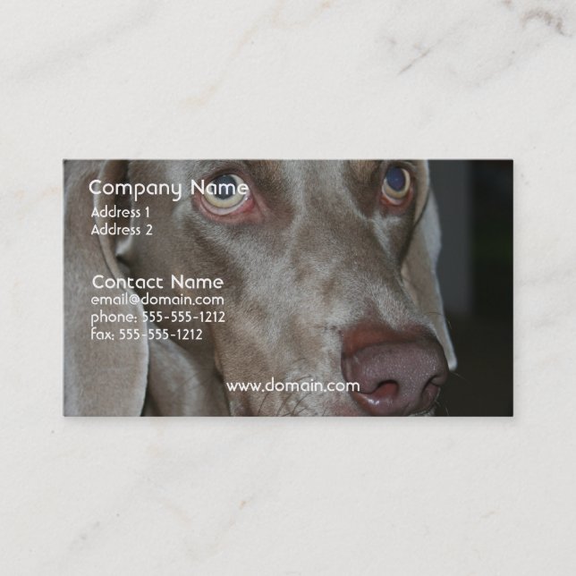 Weimeraner Dog Business Card (Front)