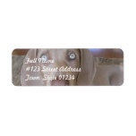Weimeraner Dog Mailing Label