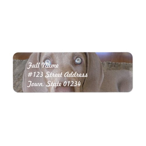 Weimeraner Dog Mailing Label