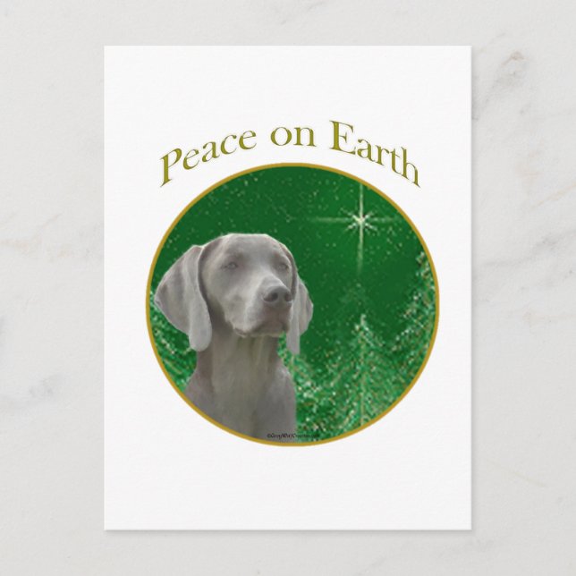Weimeraner Peace on Earth Postcard (Front)