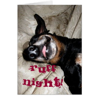 Weiner Dog Cards
