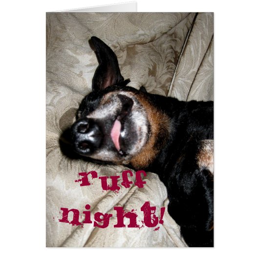 Weiner Dog Cards (Front)