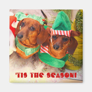 Weiner Dog Christmas Elf Magnet
