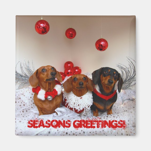 Weiner Dog Christmas, " Seasons Greetings!" Magnet (Front)