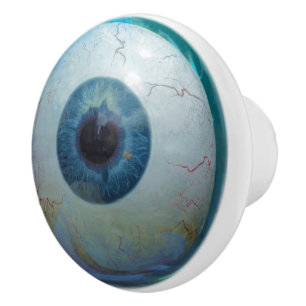 Weird Blue Eyeball Creepy Eye Boy's Bedroom Decor Ceramic Knob