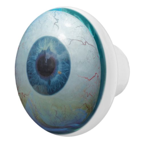 Weird Blue Eyeball Creepy Eye Boys Bedroom Decor Ceramic Knob