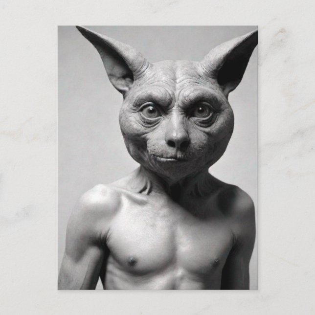 Weird Cat Guy Postcard (Front)
