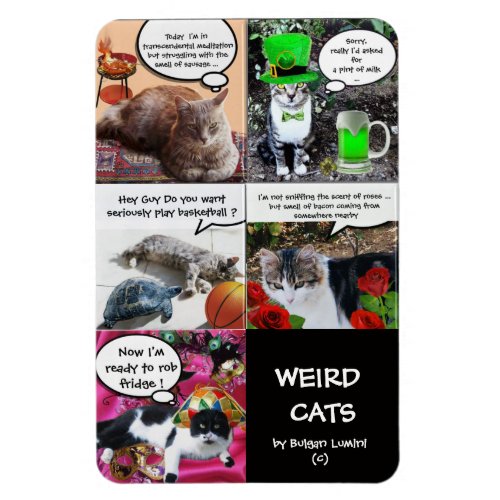 WEIRD CAT STORIES MAGNET