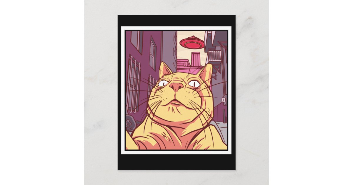 Weird Cat Ufo Selfie Postcard Zazzle