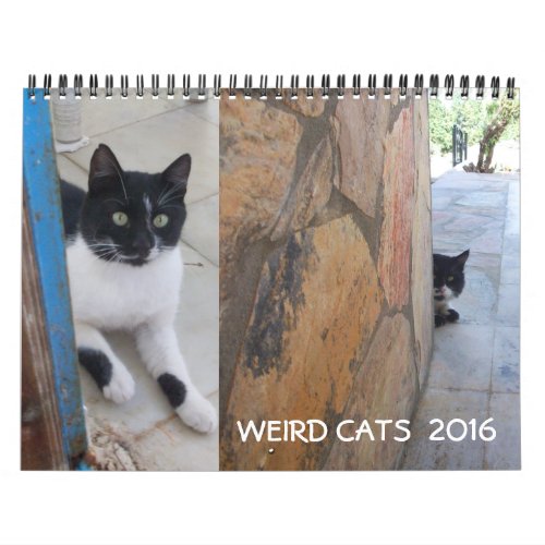 WEIRD CATS 2017 CALENDAR