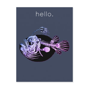 Weird Fish Postcard