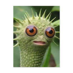 Weird Funny Green Creature Postcard