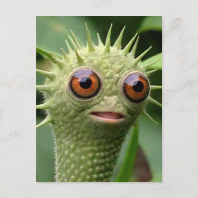 Weird Funny Green Creature Postcard (Front)