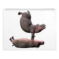 Weird Funny Hippos 2024 Kalender Calendar at Zazzle
