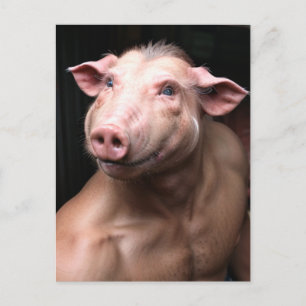 Weird Human Pig Hybrid Postcard