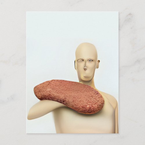 Weird Meat Mannequin Postcard