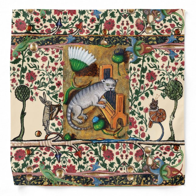 WEIRD MEDIEVAL BESTIARY MUSIC,CAT PLAYING ORGAN  BANDANA (Front)