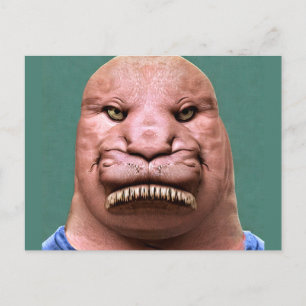 Weird Mr. Walrus Postcard