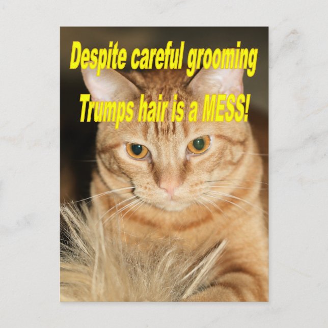 Weird old Trump Postcard (Front)