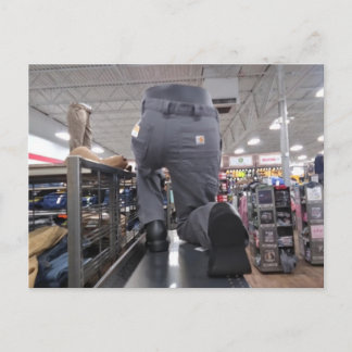 Weird Store Display Postcard