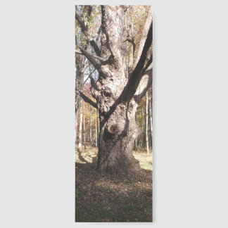 Weird Tree Bookmarks