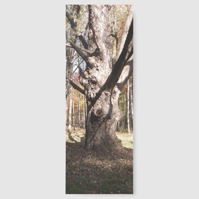 Weird Tree Bookmarks (Front)