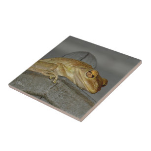 Weird tree frog Tile